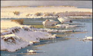 Competition Winners: The Best Western Art