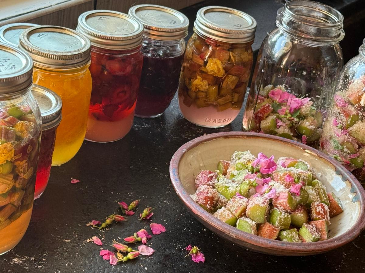 A rose rhubarb cheong (a type of Korean syrup) in process. (Courtesy of Ari LeVaux)