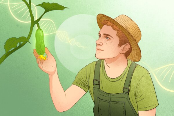 How Patience Can Delay The Aging Of Cells