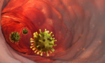 Remedies for ‘Razor-Blade Throat,’ a Symptom of the Emerging Nimbus COVID-19 Variant