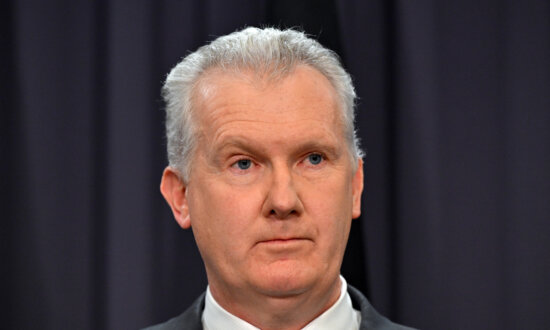 Tony Burke Held ‘Secret’ Meetings on Return of ISIS-Linked Australians