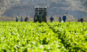 US Moves to Ban Sales of Farmland to Buyers Tied to China | Business Matters (July 9)
