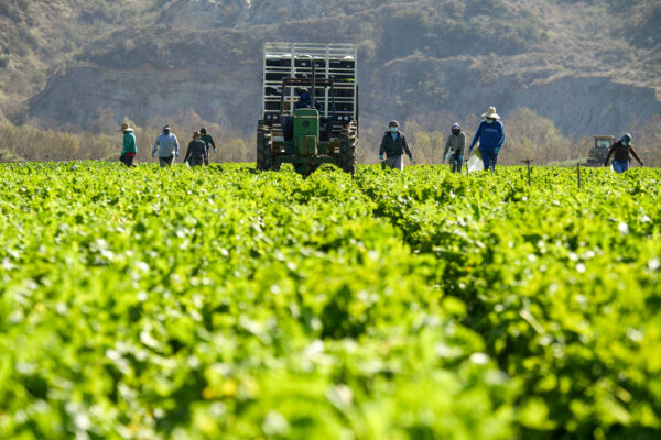US Moves to Ban Sales of Farmland to Buyers Tied to China | Business Matters (July 9)
