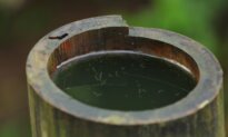 Best Frugal Way to Tell Mosquitoes to Buzz Off