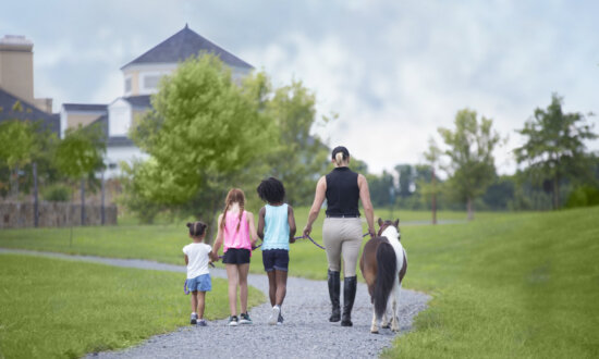 Take the Kids Horseback Riding at Salamander Middleburg