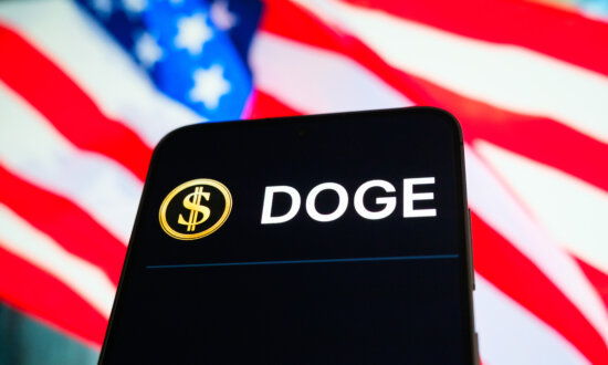 US DOGE Service ‘Could Continue to Do Work’ After Formal Shutdown, Watchdog Says