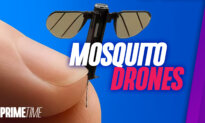 Chinese ‘Mosquito Drones’ in Development; CCP-Linked Marijuana Grows: Bonus Segment | NTD Primetime