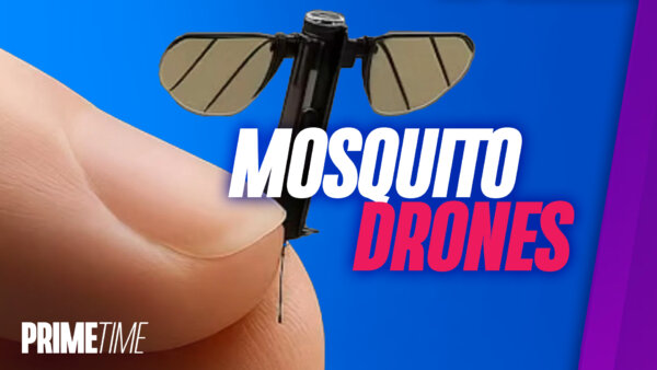 Chinese ‘Mosquito Drones’ in Development; CCP-Linked Marijuana Grows: Bonus Segment | NTD Primetime
