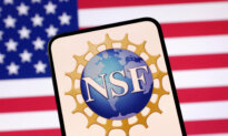 Judge Declines to Block National Science Foundation From Ending DEI-Related Grants