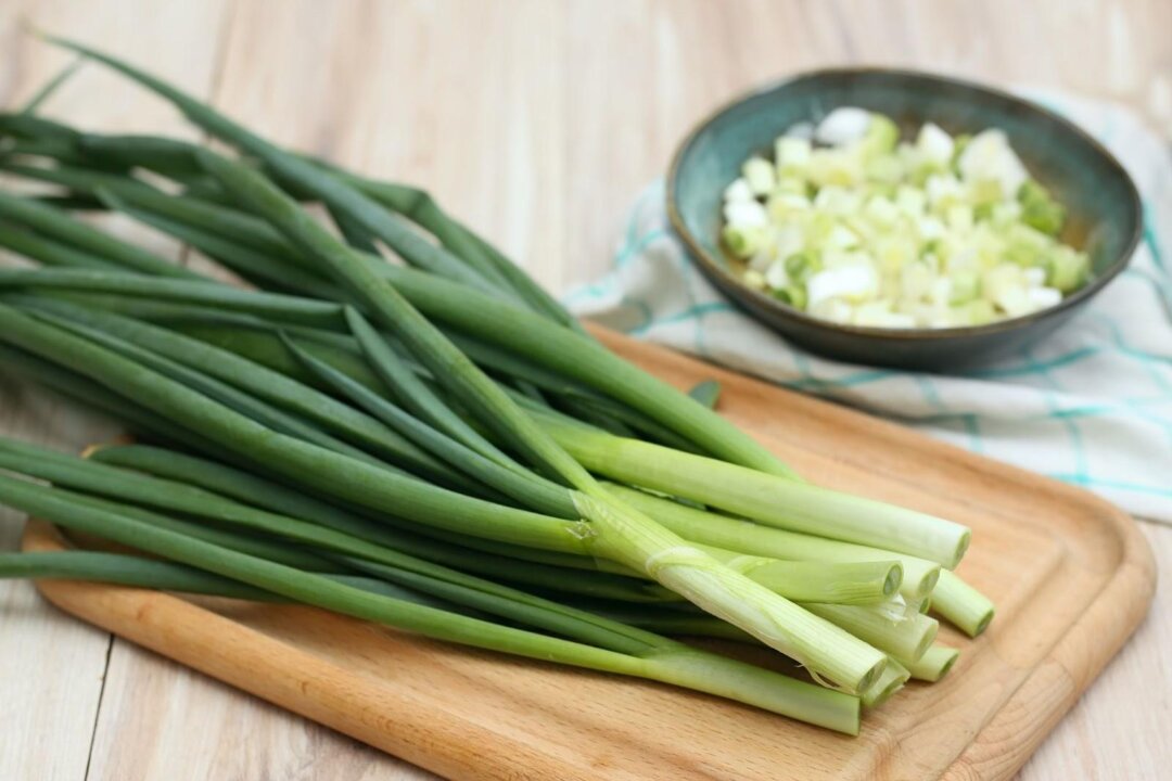 In Traditional Chinese Medicine, scallions is believed to enhance immunity and combat viruses(iva/shutterstock)