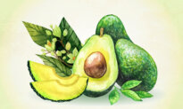 Avocados Protect the Heart, Brain, and Eyes—Here’s How to Maximize Their Benefits