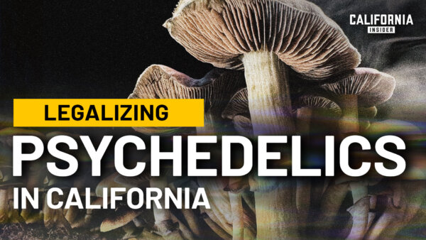 Should California Legalize Psychedelics? Experts Warn of Risks