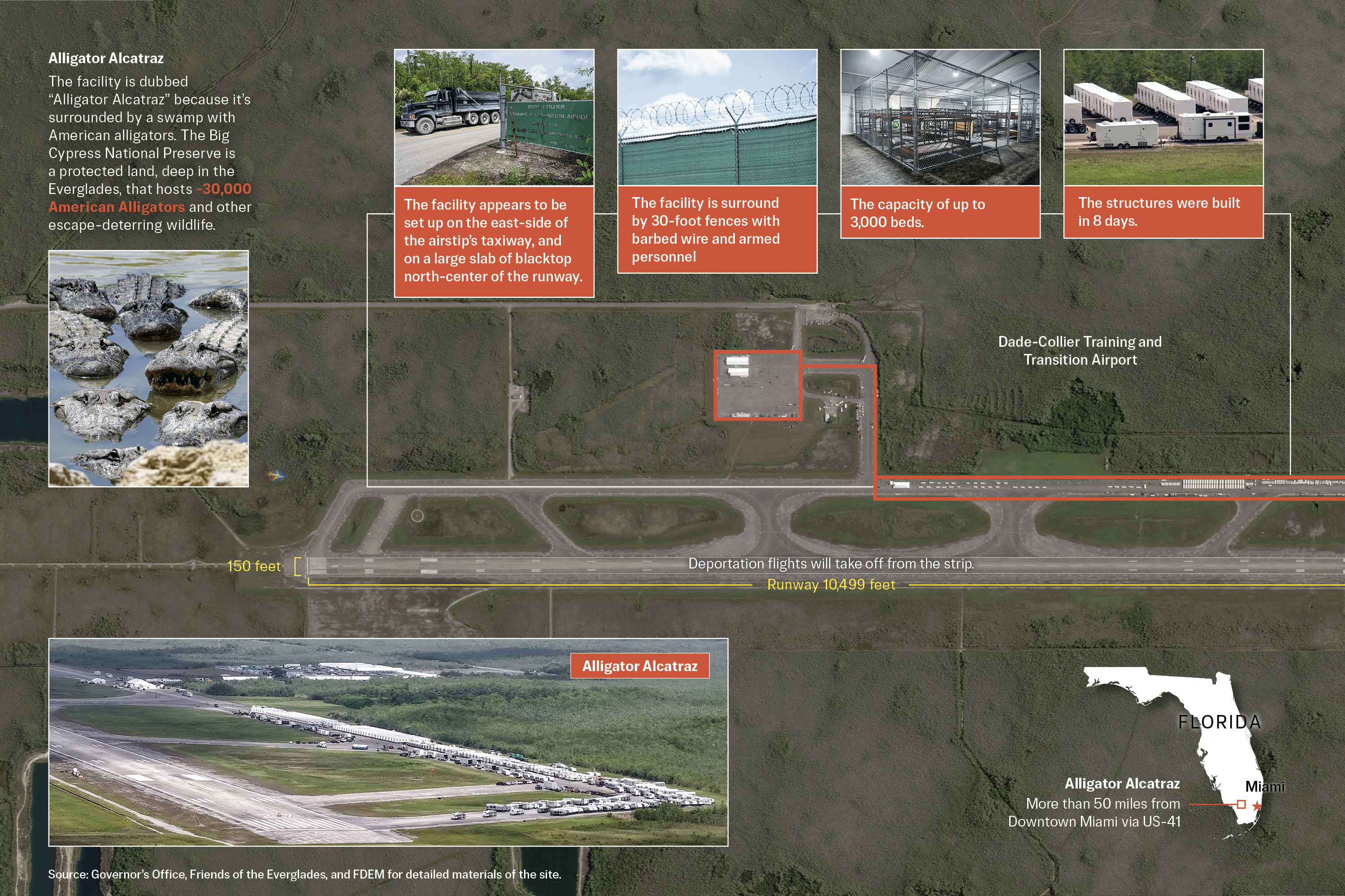 What to Know About Alligator Alcatraz: The Deportation Center Surrounded by 30,000 Alligators