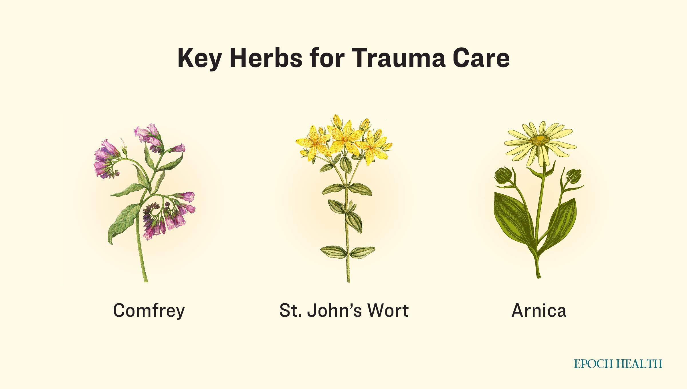 The "Golden Herbs" for trauma care. (The Epoch Times)
