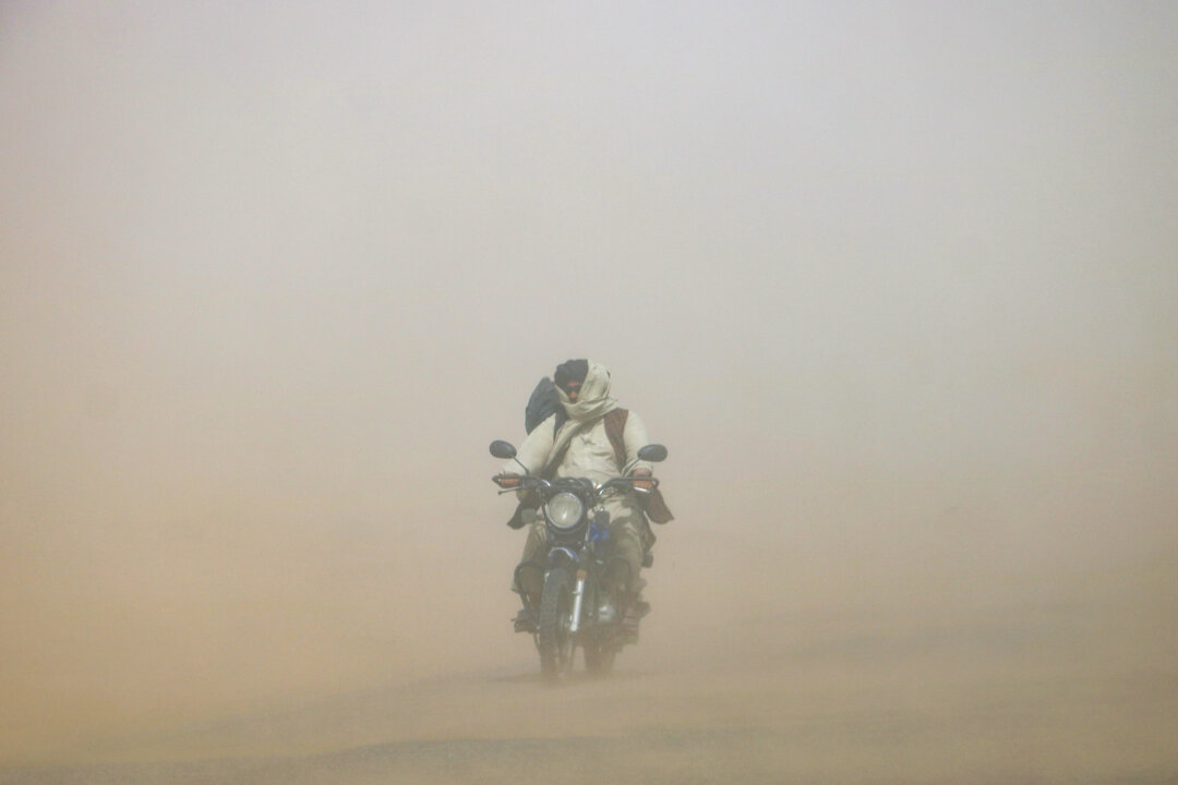 Day in Photos: Sandstorm in Afghanistan, Military Exercise in Indonesia, and Invasion of Lovebugs