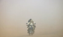 Day in Photos: Sandstorm in Afghanistan, Military Exercise in Indonesia, and Invasion of Lovebugs