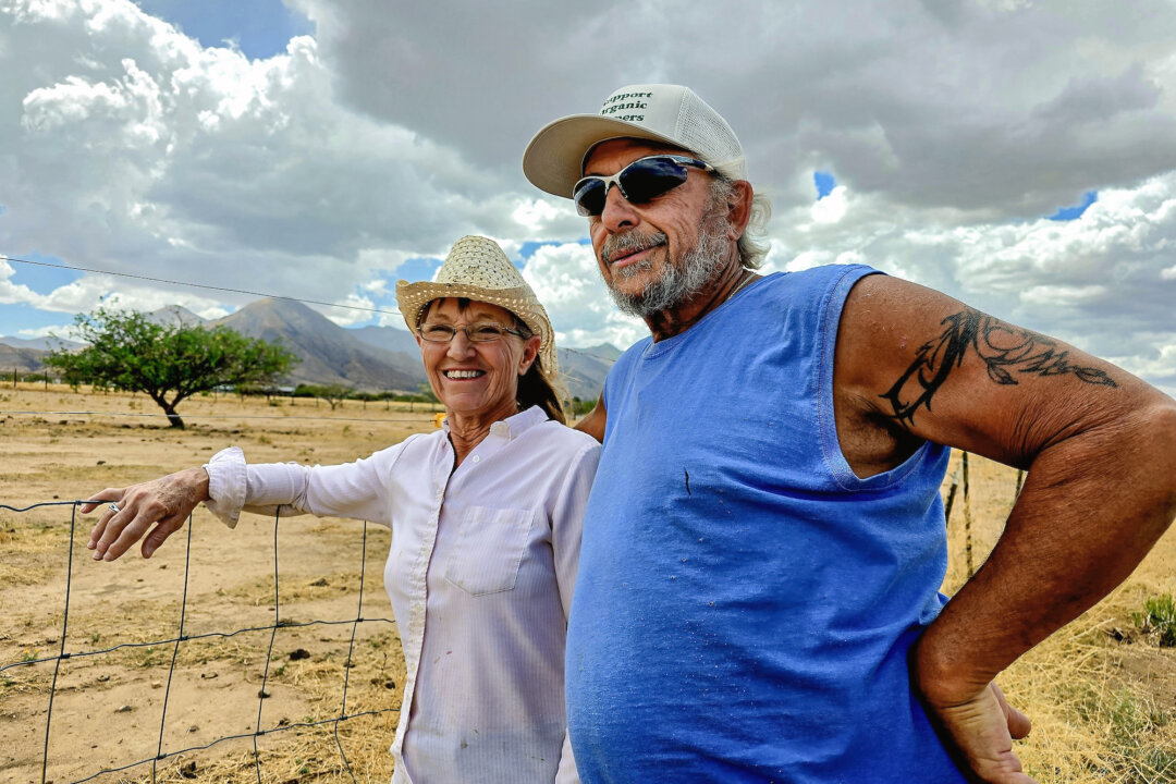 Why Organic Farmers Are Facing Headwinds After Years of Steady Growth