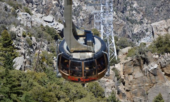 A Breathtaking Ride on Palm Springs’s Aerial Tramway