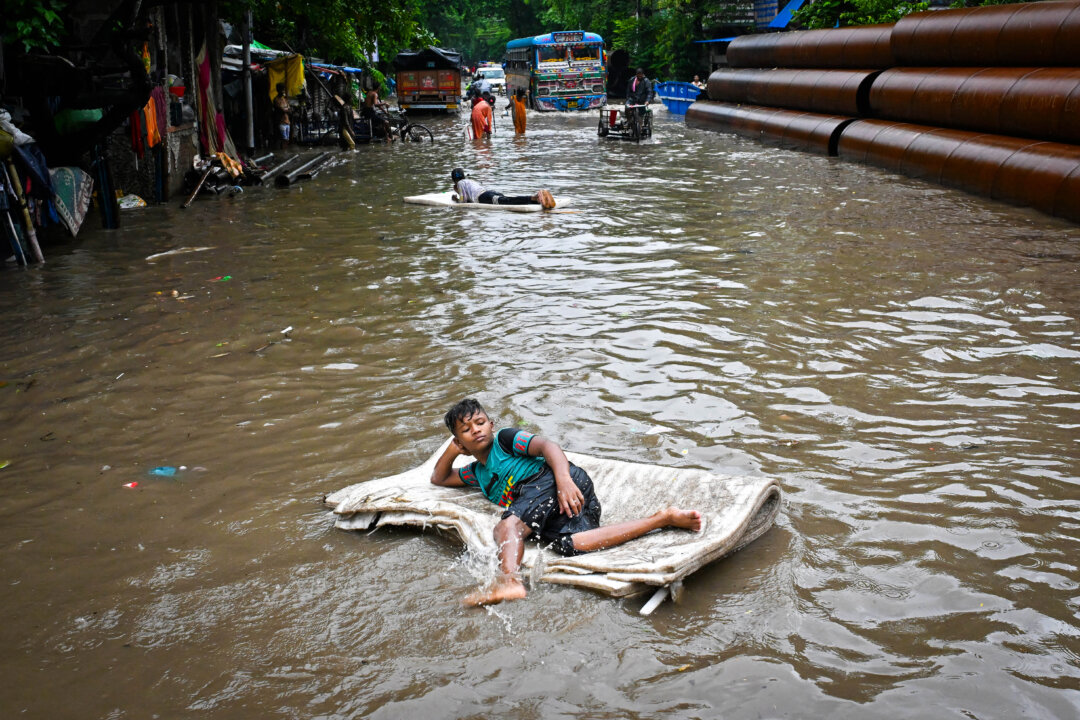 NextImg:Day in Photos: Heavy Rains in India, Wildfire in France, and Harvesting Jasmine Flowers in Egypt