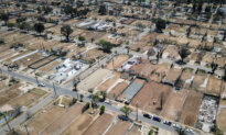 Los Angeles Makes Numerous Changes After Devastating Palisades Fire: Report