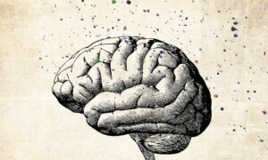 Cleansing the Brain–Strategies to Guard Against Toxin-Driven Cognitive Decline