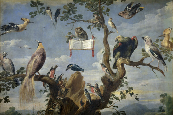 Rise and Shine: The ‘Dawn Chorus’