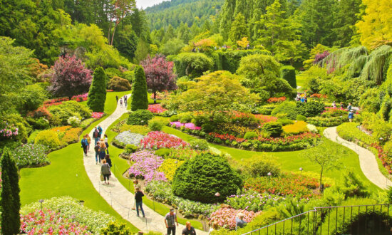 Victoria, BC: Where Sustainable Travel Meets Unforgettable Family Fun