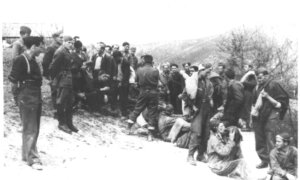 Operation Halyard: A Daring World War II Rescue