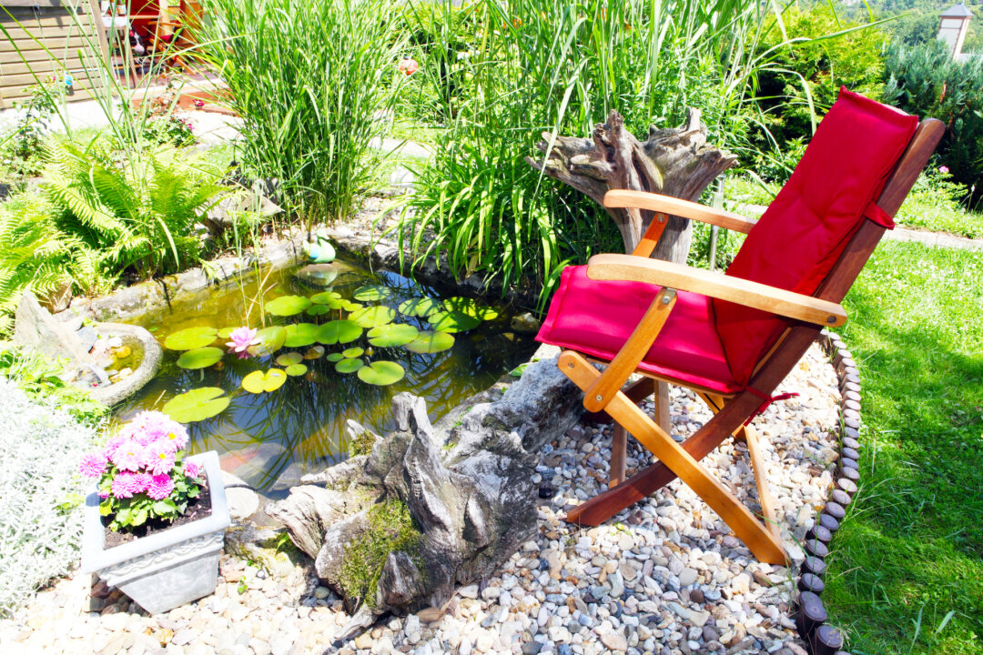 Build a Garden Pond