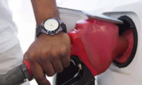 Economists Expect Annual Inflation Rate Fell in October, Driven by Lower Gas Prices
