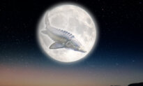 Full ‘Sturgeon’ Moon Will Join a Stunning Planetary Alignment Next Month—What to Know