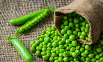 Snap, Shell, or Snow, Peas Are a Summertime Staple