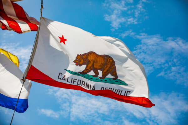 Early Voting Results for California’s Governor Race