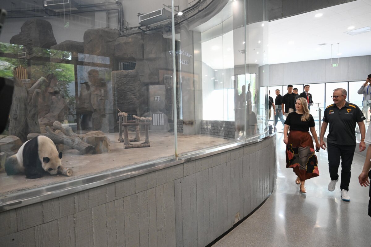 Prime Minister Anthony Albanese and partner Jodie Haydon during a tour of panda park in Chengdu, China, on July 17, 2025. (AAP Image/Lukas Coch)