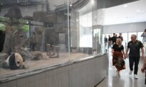 Albanese Wraps Up China Visit with Panda Tour