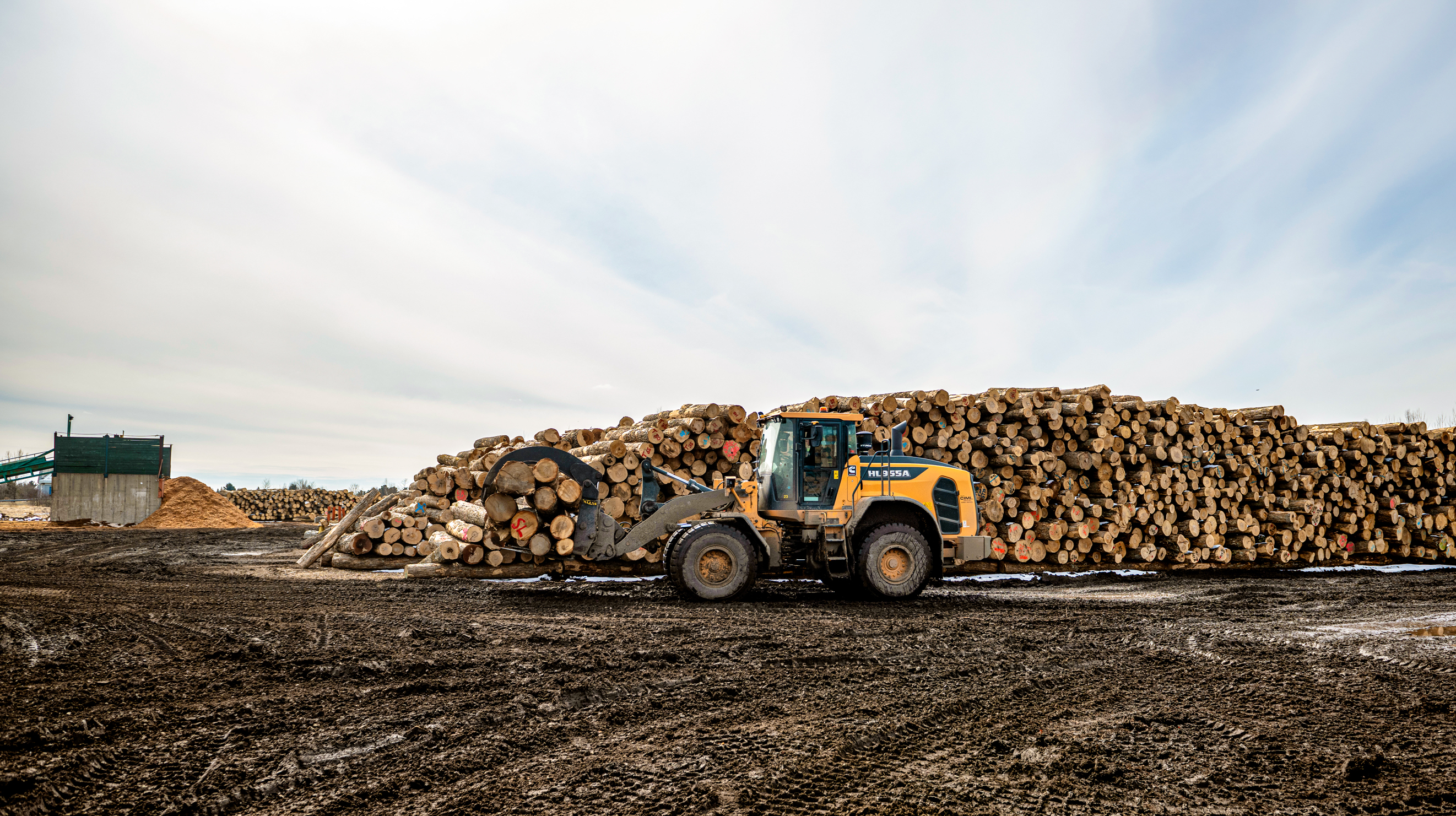 What’s Behind the US–Canada Lumber Feud?