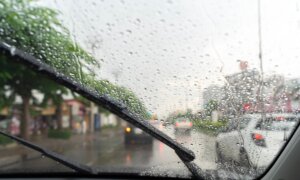 Mary Anderson: Creator of the First Usable Windshield Wiper