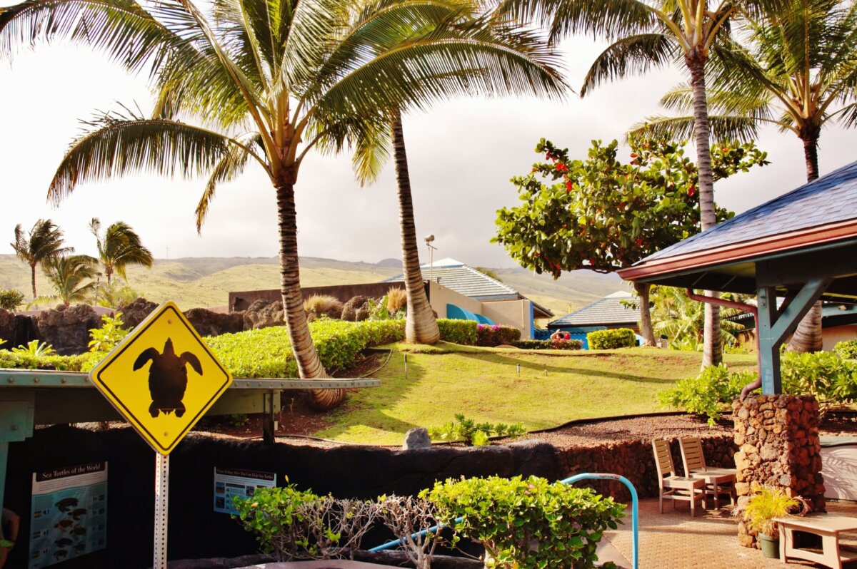 Maui Ocean Center at the Aquarium of Hawaii has immersive exhibits. (Dreamstime/TCA)
