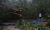 Typhoon Wipha Batters Hong Kong and Southern China, Hundreds of Flights Canceled