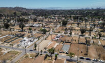 Investors Scoop Up 40 Percent of Vacant Lots Sold After Los Angeles Fires: Report