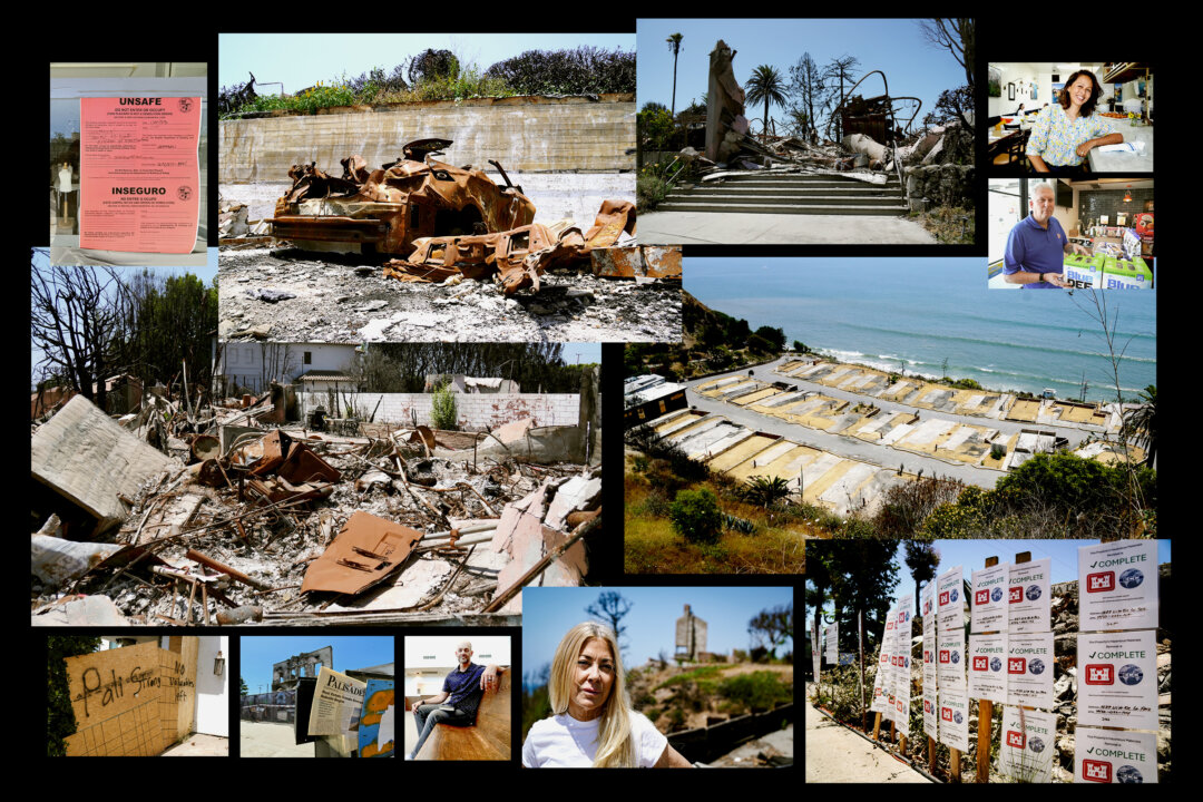 How Things Stand 6 Months After Palisades Fire