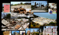 How Things Stand 6 Months After Palisades Fire
