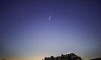 The Best Meteor Shower of the Year Will Peak Soon—Here’s What You Need to Know
