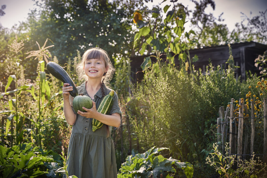 NextImg:The Squash Patch: Timing, Tips, and Troubleshooting for a Bountiful Harvest