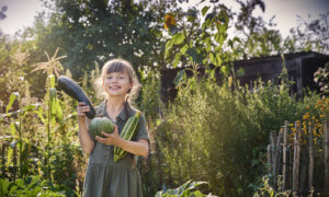 The Squash Patch: Timing, Tips, and Troubleshooting for a Bountiful Harvest