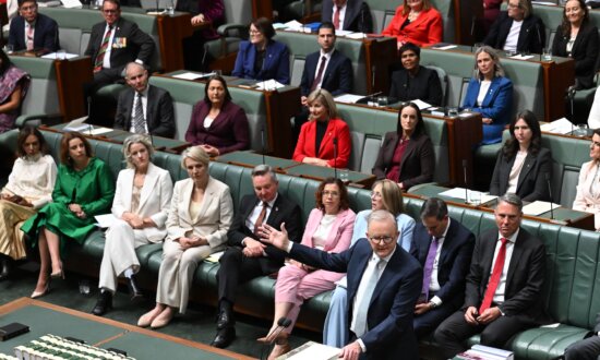 Who Are Some of Labor’s Newest MPs and What Do They Stand For?