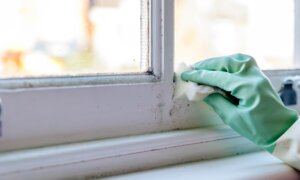 5 Sneaky Mold Hotspots in Your Home That You Need to Check More Often