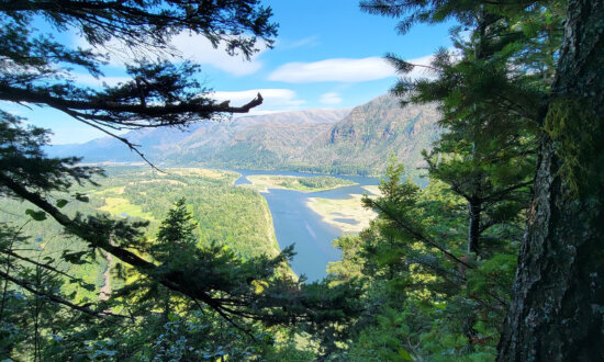 Tips for Camping at the Gorge Amphitheatre and a Stress-Free Concert Experience