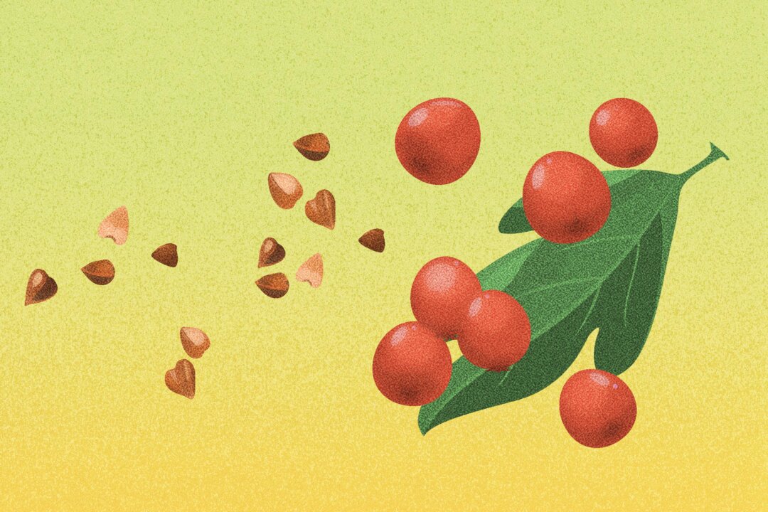 (Illustration by The Epoch Times, Shutterstock)
