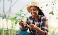 Plants That Repel Snakes: Natural Deterrents for Your Garden